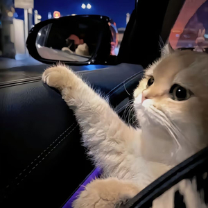 喷水高潮视屏日本
